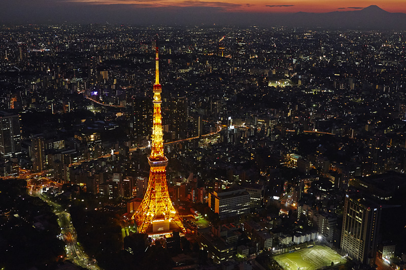 T-4 Tokyo Tower (Main Deck) & Odaiba Area (Drive Past)