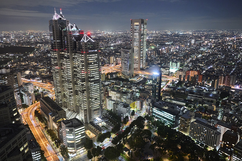 T-5 Tokyo City View (Observation Deck) & Shinjuku Golden Gai